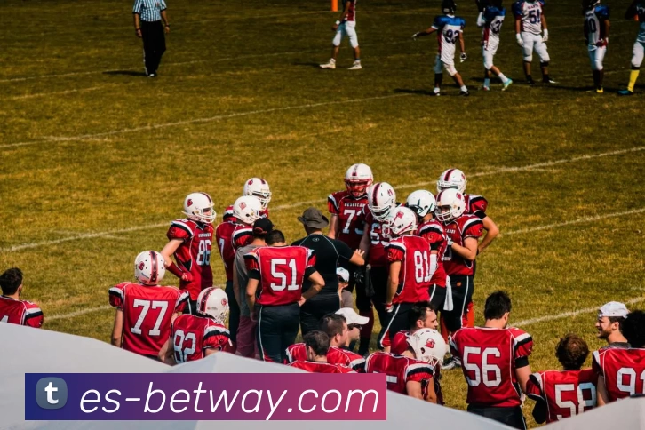 必威电竞官网APP 封面图